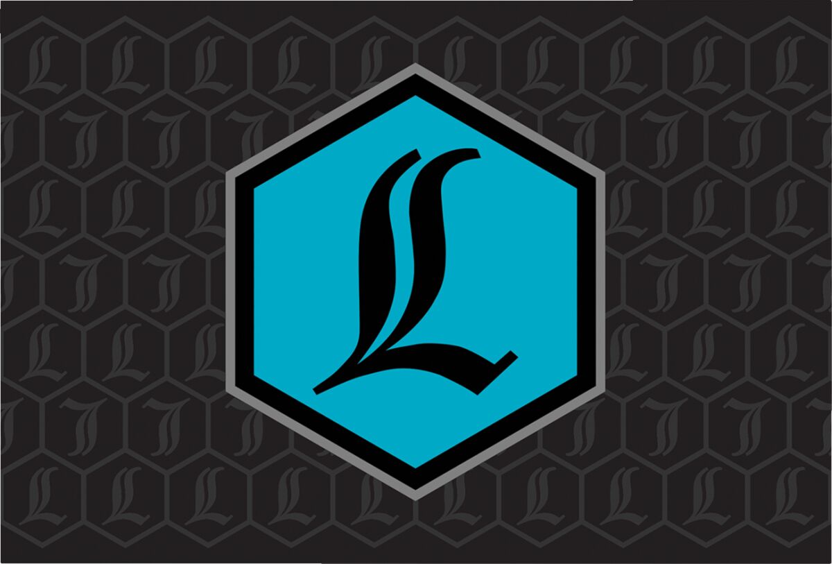 Legend REVO ARC Reservoir Decals Rear Shocks Accessories Legend Suspension Teal