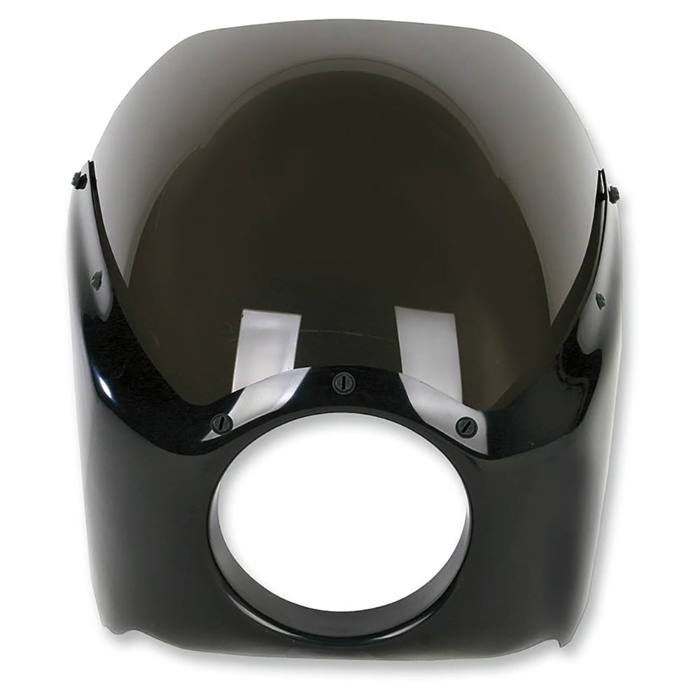 Direct Bolt-On Fairing - 06+ Dyna Fairing Arlen Ness