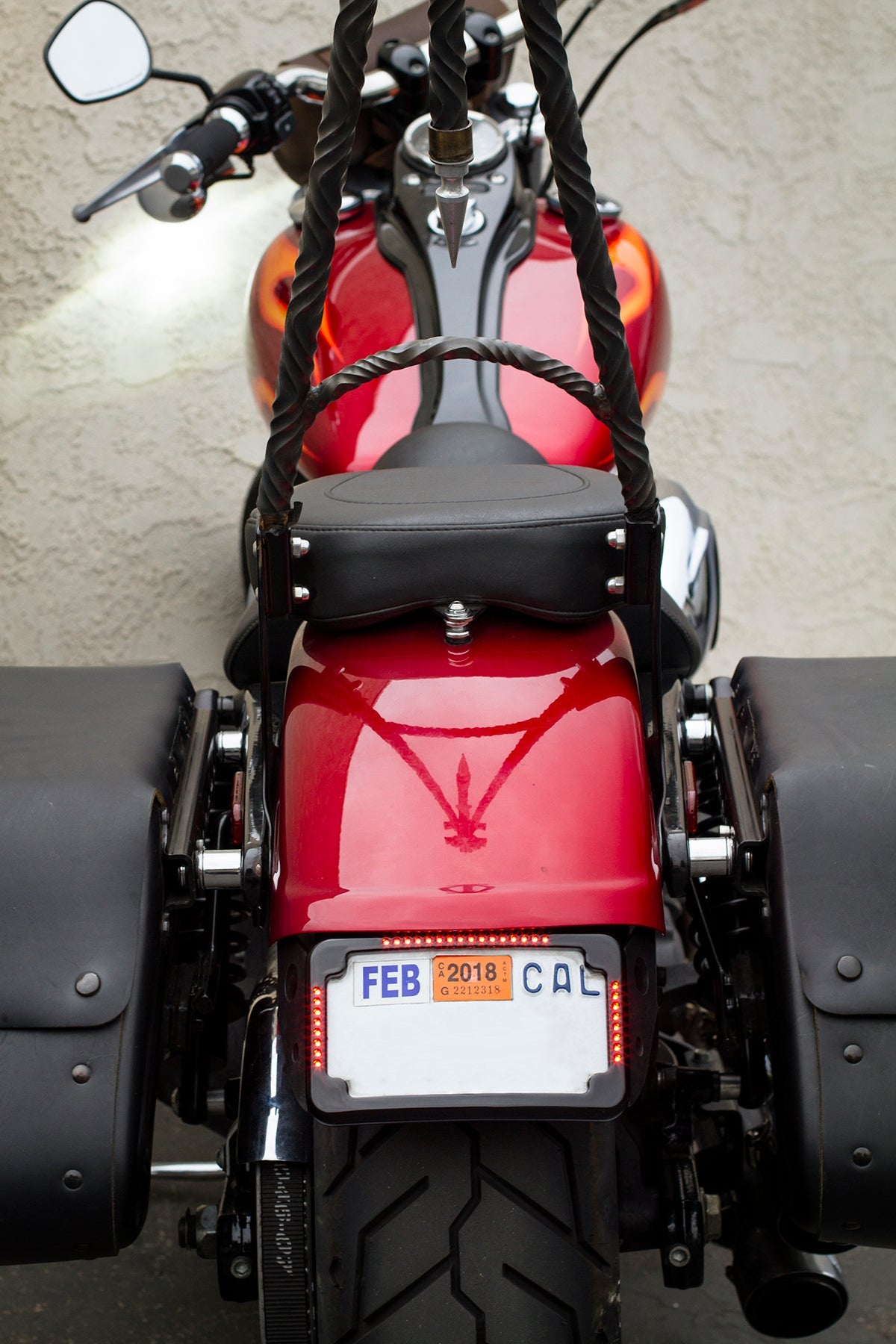Curved License Plate Relocation - Dyna License Plate Cycle Visions