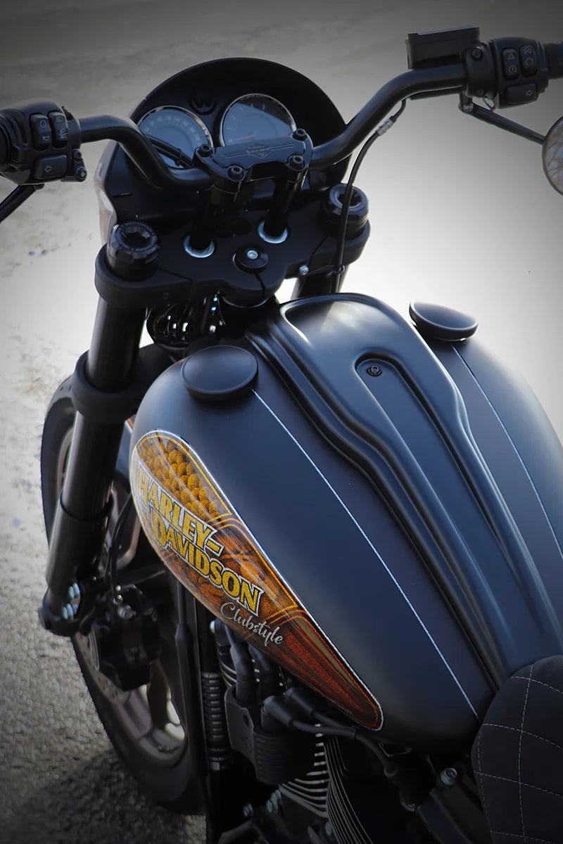 Speedometer Kit - 18+ FXLR & FXLRS Gauge Mount Cult-Werk