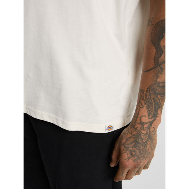 Sneedville T-Shirt, Beige T-Shirt Dickies
