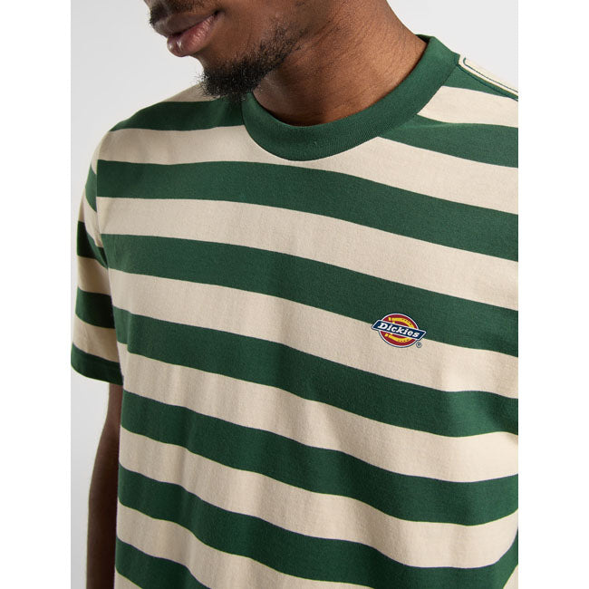 Rivergrove T-Shirt, Pine Needle Green T-Shirt Dickies