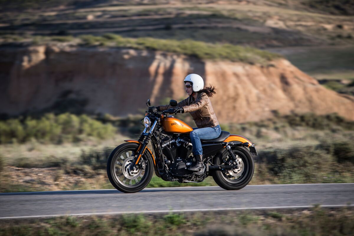 Michelin Tire Scorcher 21 Rear 160/60 R17 69 V Tl Rear Tire Michelin