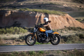 Michelin Tire Scorcher 21 Rear 160/60 R17 69 V Tl Rear Tire Michelin