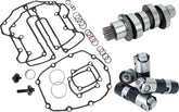 Feuling Parts Cam Kit Rs 487 Chain Drive M8 CAMS + PARTS Feuling