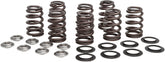 Kibblewhite Spring Kit Beehive M8 Ti VALVES + PARTS Kibblewhite