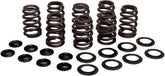 Kibblewhite Spring Kit Beehive M8 VALVES + PARTS Kibblewhite