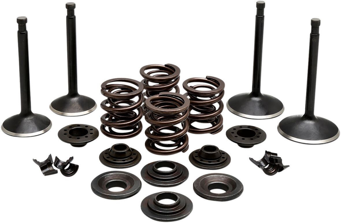 Kibblewhite Valve Kit Comp 70 83 Spt VALVES + PARTS Kibblewhite