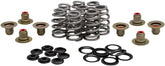 Kibblewhite Spring Kit Bhive M8 .625 VALVES + PARTS Kibblewhite