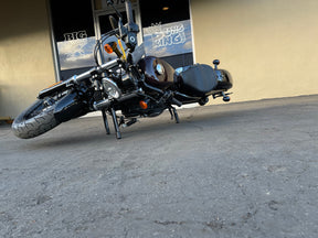 Passenger Peg Sliders, Smooth - 04-21 Sportster Foot Pegs Bung King
