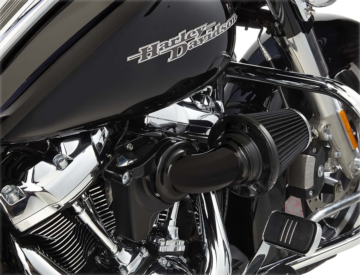 Monster Sucker® Air Cleaner, Black - 08-16 Touring / 16-17 FLST & FXDLS Air Cleaner Arlen Ness