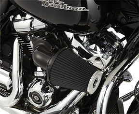 Monster Sucker® Air Cleaner, Black - 08-16 Touring / 16-17 FLST & FXDLS Air Cleaner Arlen Ness