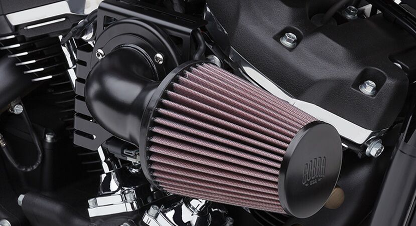 Cobra Air Intake Cn Bk/Bk Sftl Air Cleaner Cobra