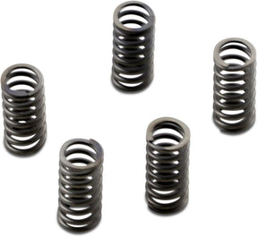 Ebc Clutch Spring Kit Coil Spring Csk Series Steel Clutch Plates & Springs Ebc