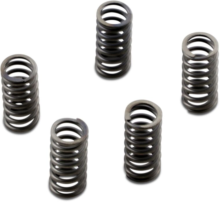 Ebc Clutch Spring Kit Coil Spring Csk Series Steel Clutch Plates & Springs Ebc