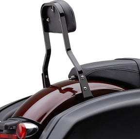 Cobra Dtch Bkrst Srt Bk Flsb SISSY BARS - MOTORCYCLE Cobra