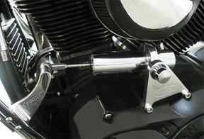 Pingel Electric Speed Shifter Kit / Indian Chief / Natural Shifter Linkage & Components Pingel