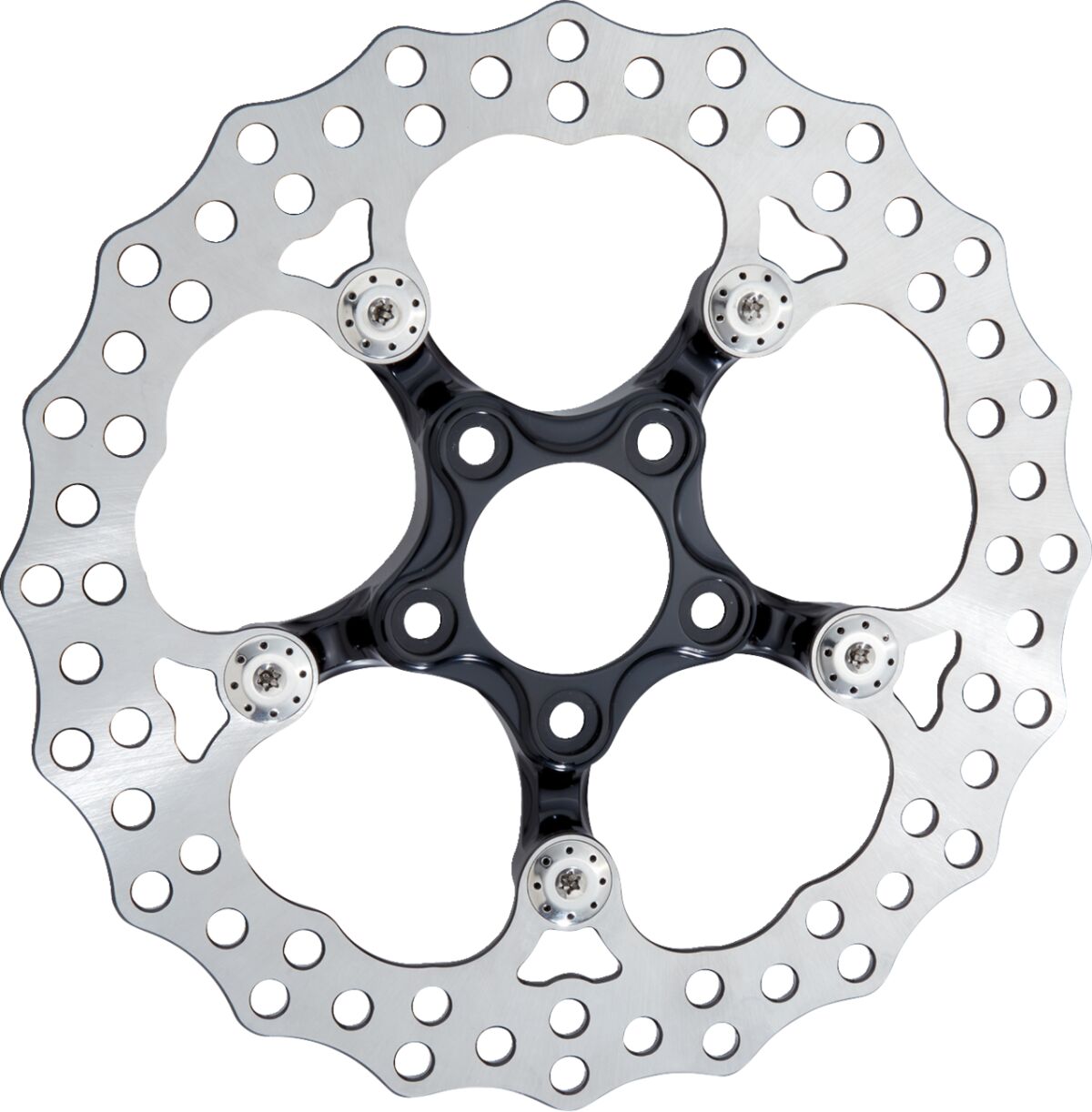 Arlen Ness 11" Spider Brake Rotor, Black Brake Rotors Arlen Ness