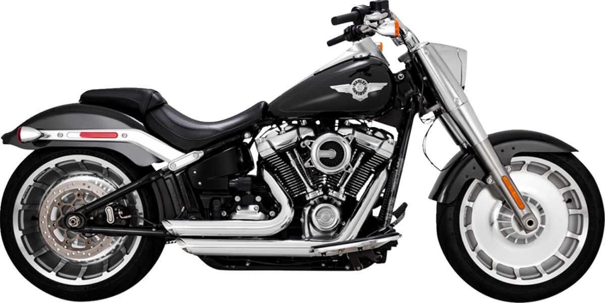 Exh.Ch.Ss Stag.18+F Boy Vance & Hines