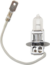 Drag Specialties Bulb H3 35 W Halogen BULBS Drag Specialties