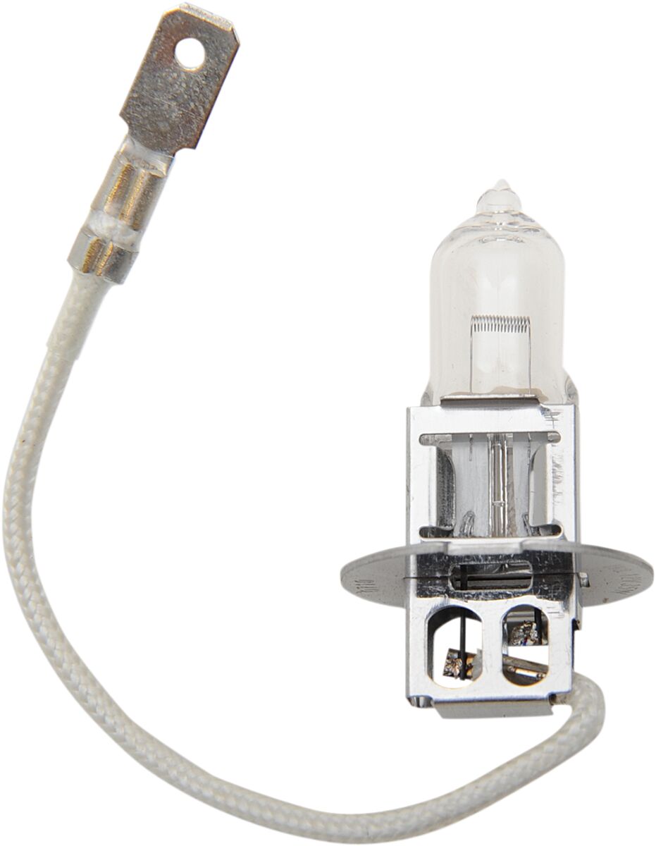 Drag Specialties Bulb H3 35 W Halogen BULBS Drag Specialties