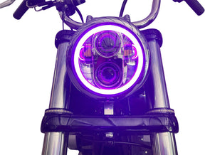 Custom Dynamics Proglow 5.75 Led Headlight C HEADLIGHT GROUP Custom Dynamics