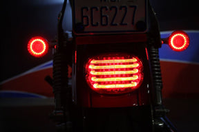 ProBeam Low Profile Led Taillight, Smoked - 99+ Taillight Custom Dynamics