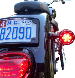 Custom Dynamics Tsignl R. Bltrng Blk/Smk TURN SIGNAL GROUP Custom Dynamics
