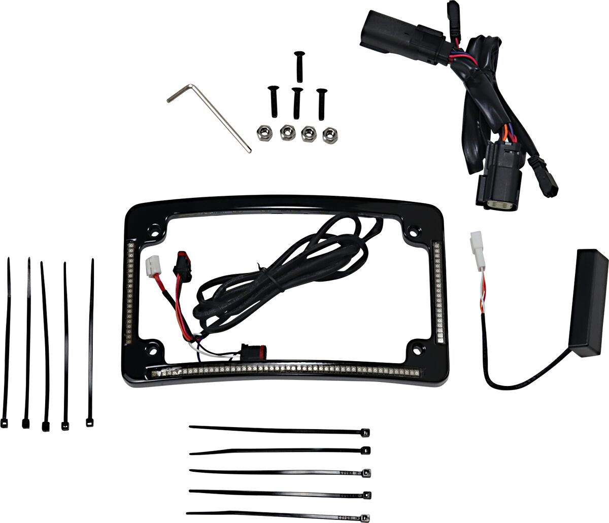 Custom Dynamics Radius License Plate Frame with Auxiliary LEDS, Black - 14-22 Touring License Plate Custom Dynamics