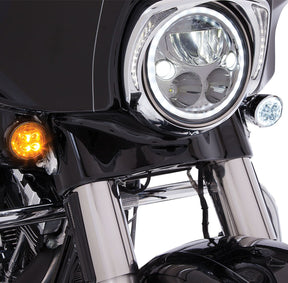 Ciro Light Fang Front Chrome ACCESSORY LIGHT GROUP Ciro