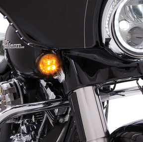 Ciro Light Fang Front Black ACCESSORY LIGHT GROUP Ciro