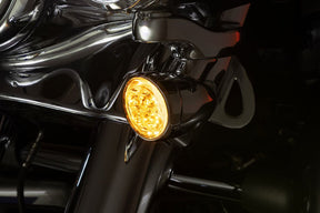 Ciro Light Fang Frt Chr/Clr Light Accessory Ciro