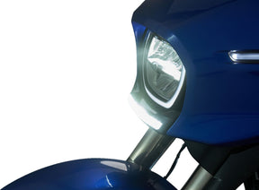 Ciro Light Fairing Led Goat E Fl/ ACCESSORY LIGHT GROUP Ciro