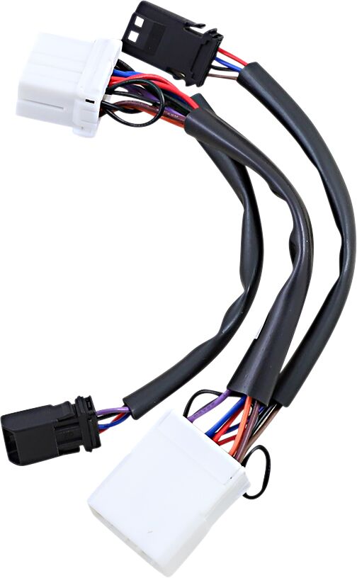 Custom Dynamics Adaptor Plasma Rods LIGHTING CONTROLS Custom Dynamics