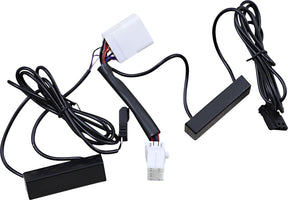 Custom Dynamics Adaptor Micro Dual Ambred LIGHTING CONTROLS Custom Dynamics