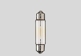 Flosser Bulb 12 V5 W Sv8 5 11 X40 Mm 10 Pk BULBS Flosser