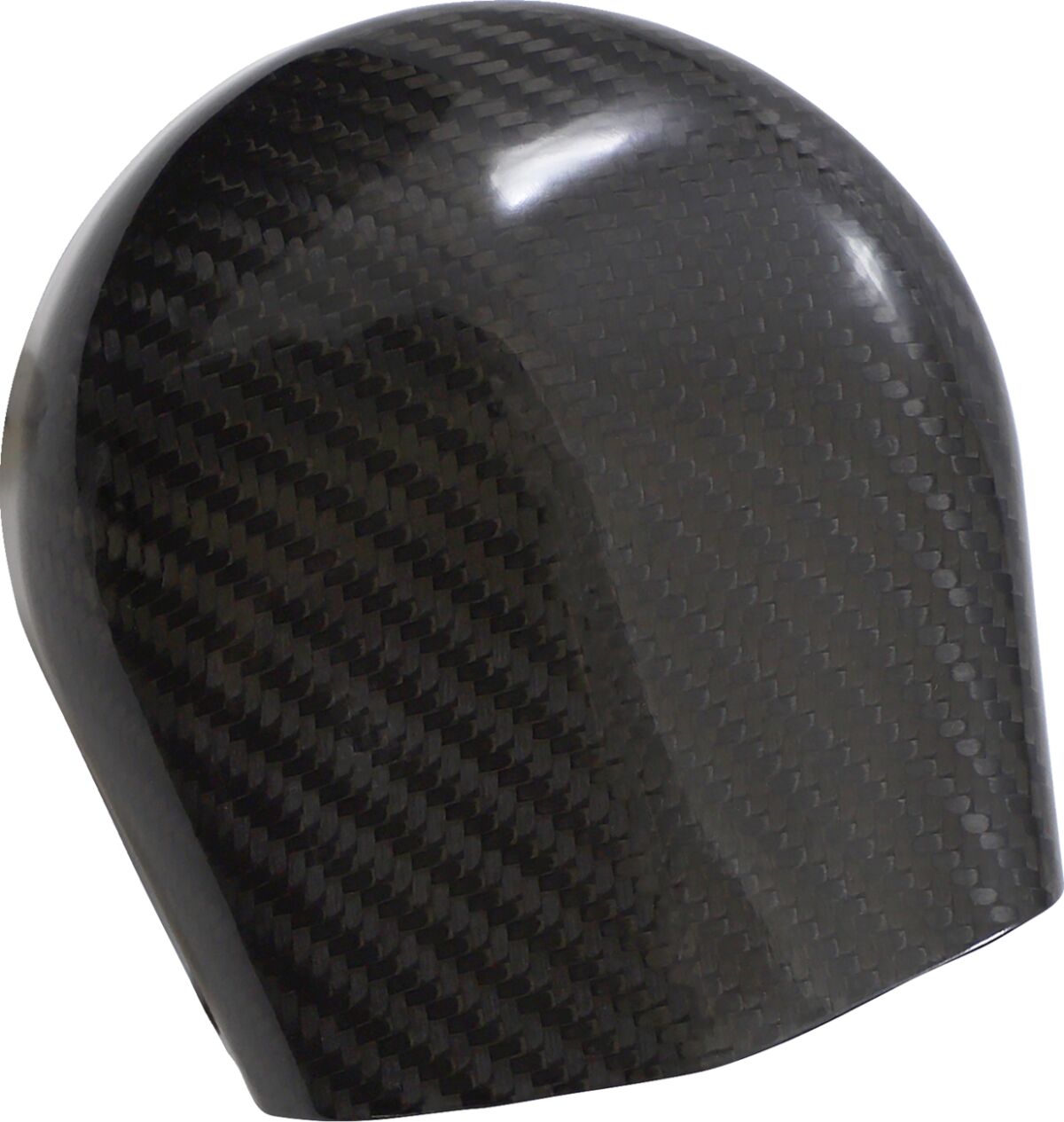 Horn Cover, Carbon Fiber Gloss - 06+ Touring Horn Cover Slyfox Performance Default Title