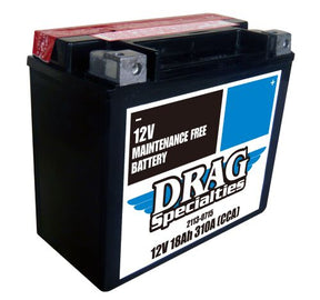 Maintenance Free Battery BATTERIES Drag Specialties 00-21 Softail & 99-17 FXD/FXDWG