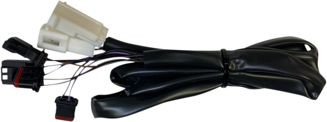 Custom Dynamics Integrated Taillight Harness - 18+ Softail Low Rider Miscellaneous Electrical Custom Dynamics