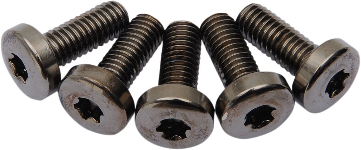 Drag Specialties Kit Rotor To Hub Rear Blk HARDWARE KITS - APPLICATION RE Drag Specialties