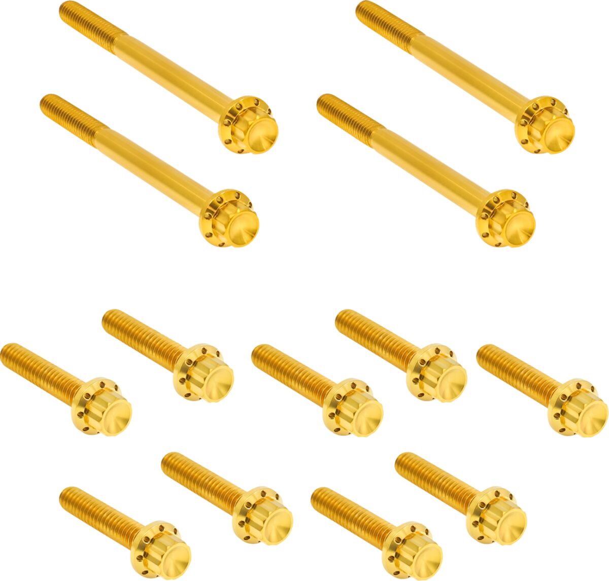 Arlen Ness Bolt Kit Titanium Softail 18 Builders Fastener Sets Arlen Ness