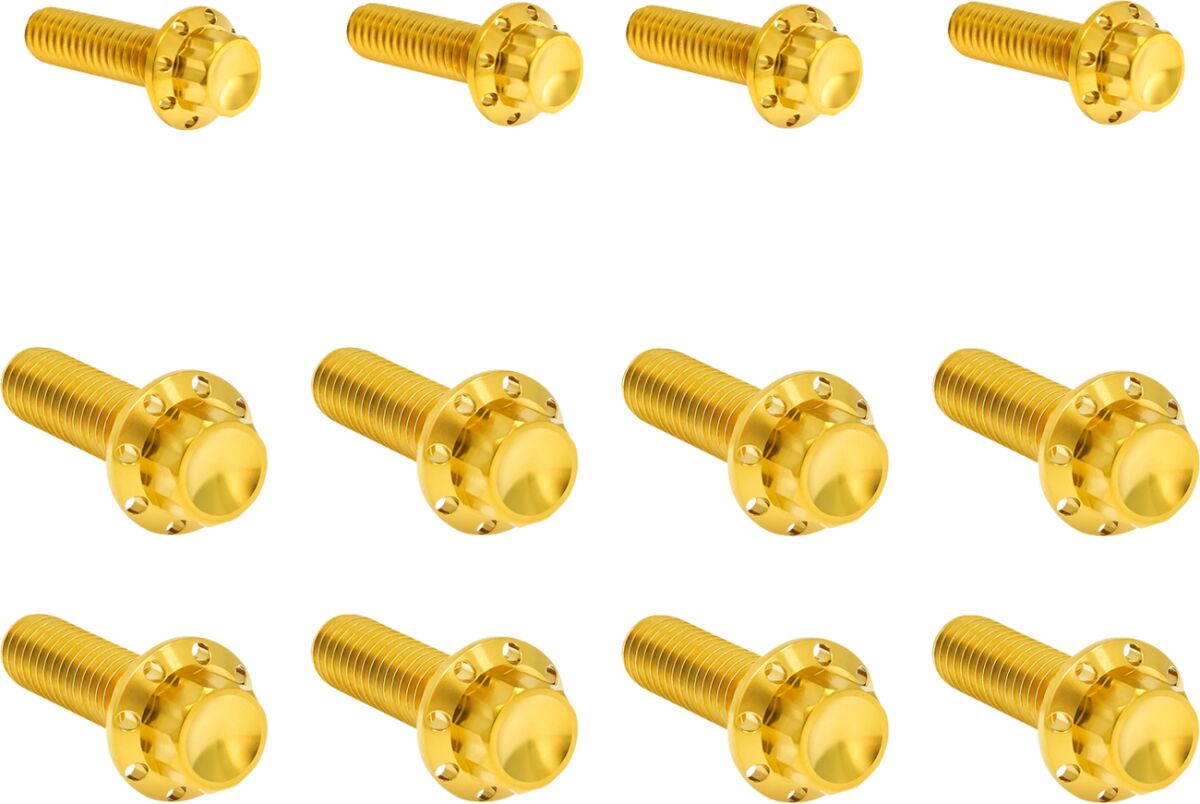 Arlen Ness Bolt Kit Titan M8 17 25 Ca Builders Fastener Sets Arlen Ness