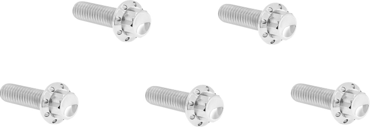 Arlen Ness Bolt Kit Titanium M8 17 Up Builders Fastener Sets Arlen Ness