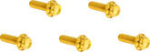 Arlen Ness Bolt Kit Titanium M8 17 Up Builders Fastener Sets Arlen Ness