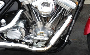 EVO Primary and Transmission Stainless 12 point kit - 87-99 FXR ARP Hardware Feuling Parts