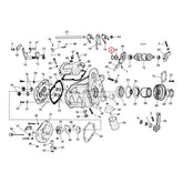 Retaining Ring, Shifter Cam Support Retaining Rings Mcs