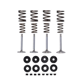 Manley, Race Master Valve Kit. Stock .495" Valve Lift Valve Kits Manley