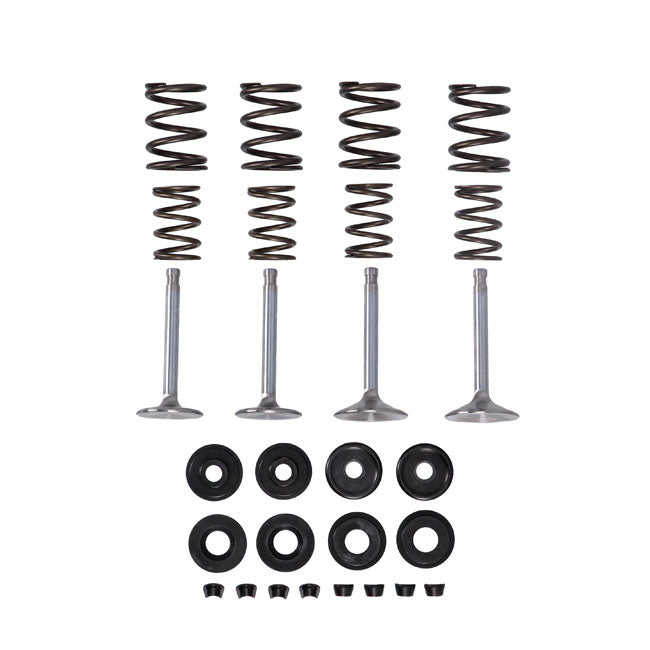 Manley, Race Master Valve Kit. Stock .495" Valve Lift Valve Kits Manley