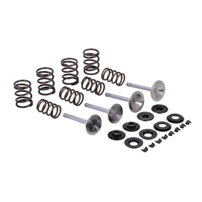 Manley, Race Master Valve Kit. Stock .495" Valve Lift Valve Kits Manley