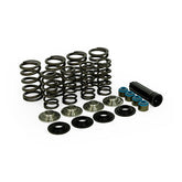 Manley, Valve Spring Kit. Titanium. Std To .650" Lift Valve Springs Manley